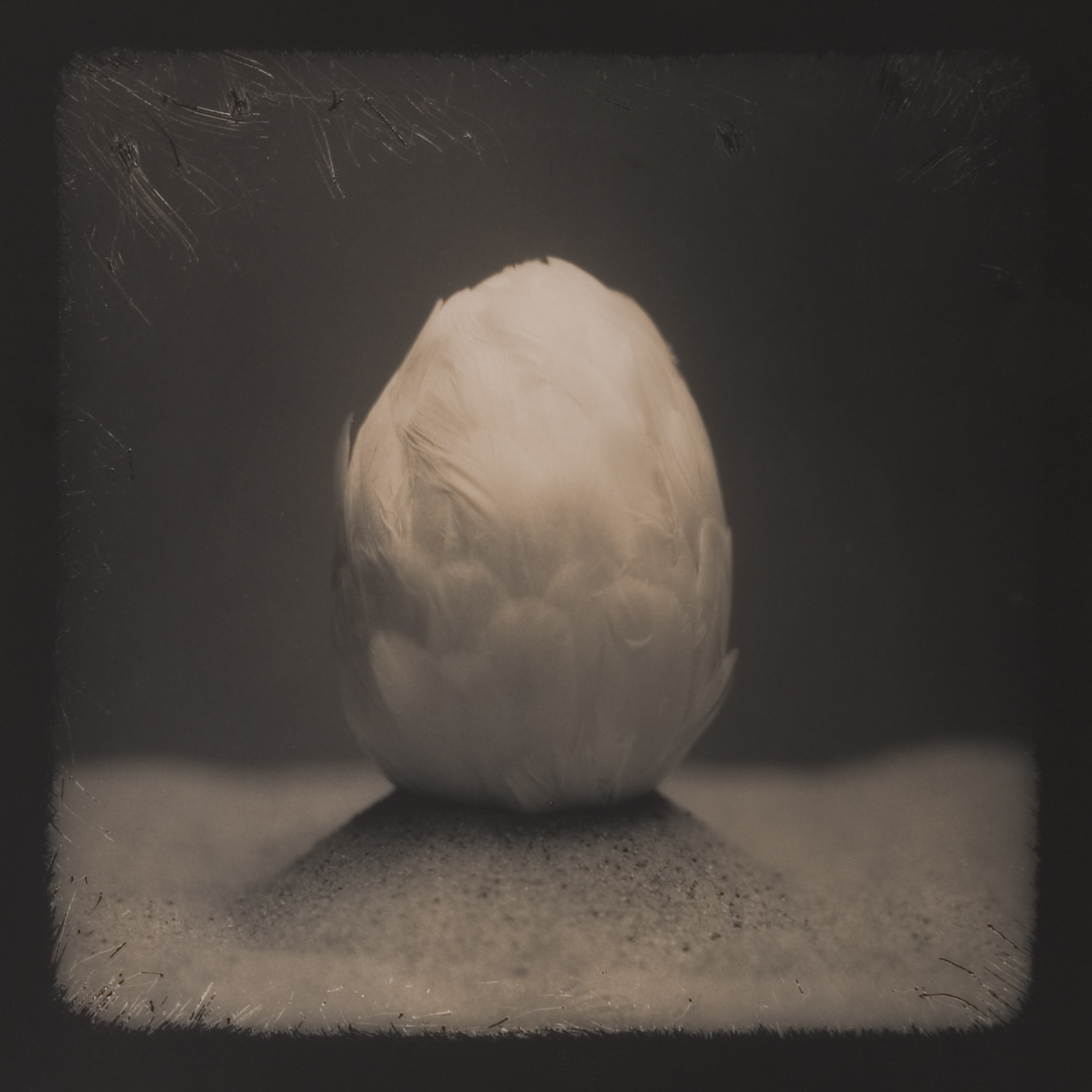 from the series Tales